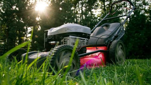 Best Spring Lawn Care Deals: Save Money and Get a Great Lawn